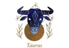 Karier Taurus 14 Agustus 2026: Kesabaran Kunci Menanti Hasil Kerja