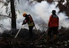 Kebakaran Hutan dan Lahan di Kalteng Meluas, Ratusan Hektare Lahan Terbakar