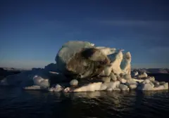 Ambisi Trump: Greenland, Sumber Daya Minyak, dan Penundaan Pengeboran
