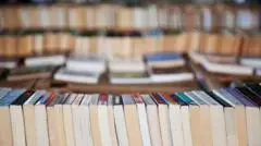 Lonjakan Penjualan Buku Bekas: Diduga untuk Pelatihan AI dan Didaur Ulang