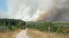 Kebakaran Hutan Landa Cagar Alam Belgia, Terparah dalam Beberapa Tahun Terakhir