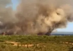 Api Mengamuk di Zadar, Kroasia: Langit Diselimuti Kabut Asap Tebal