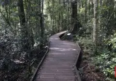 Taman Nasional Gulguer Segera Dibuka di Sydney, Tawarkan Rekreasi Alam Lengkap