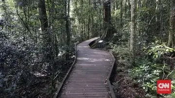 Taman Nasional Gulguer Segera Dibuka di Sydney, Tawarkan Rekreasi Alam Lengkap