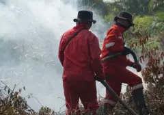 Kementerian LHK Pantau 73 Titik Panas Karhutla di Kalimantan Selatan