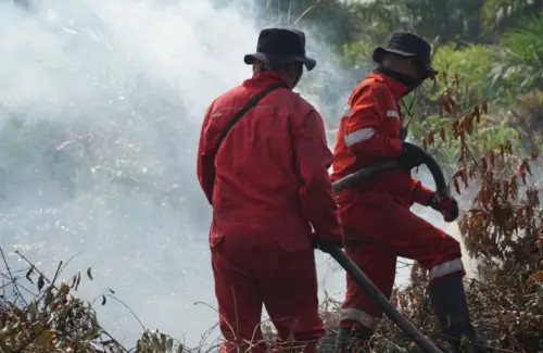Kementerian LHK Pantau 73 Titik Panas Karhutla di Kalimantan Selatan