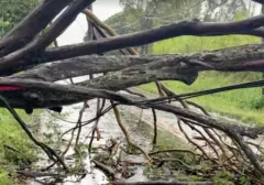 Badai Lala Lumpuhkan Hawaii: 180.000 Warga Gelap-gelapan, Ratusan Rumah Hancur