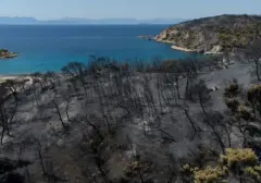 Api Lahap Pulau, Dua Tewas dan Kerusakan Meluas