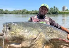 Deretan Lele Raksasa: Dari Sungai Mekong Hingga Amazon, Berat Capai 293 Kg