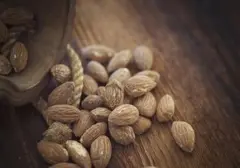 Enam Pilihan Kacang Unggulan untuk Mendukung Program Diet Sehat