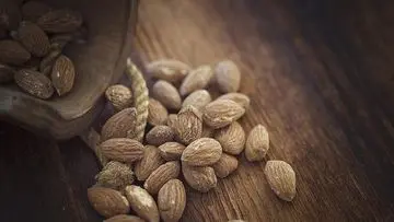 Enam Pilihan Kacang Unggulan untuk Mendukung Program Diet Sehat