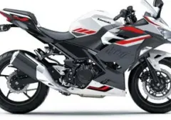 Kawasaki Ninja 250 FI Meluncur dengan Warna Baru, Harga Mulai Rp 81 Juta