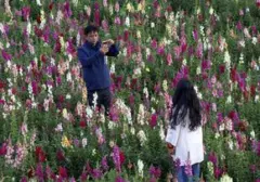 Cinta Tak Sekadar Kata: 5 Tanda Pasangan yang Menunjukkan Kasih Lewat Tindakan