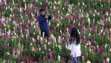 Cinta Tak Sekadar Kata: 5 Tanda Pasangan yang Menunjukkan Kasih Lewat Tindakan