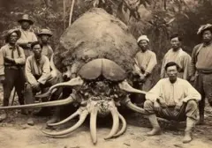 Misteri Foto Lawas Bangsawan Thailand Berburu Monster: Fakta atau Rekayasa AI?