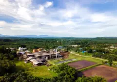 Potensi Sawit: Limbah Jadi Energi Biogas Unggulan Indonesia