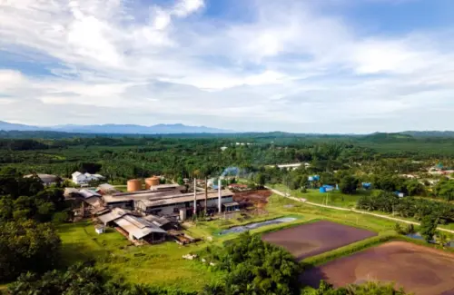 Potensi Sawit: Limbah Jadi Energi Biogas Unggulan Indonesia