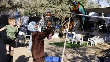 Kebun Binatang Nuseirat Gaza Kembali Beroperasi, Hadirkan Keceriaan Baru bagi Anak-anak