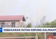 Kalteng Dilanda Asap Tebal Akibat Karhutla, 1.800 Hektare Lahan Terbakar