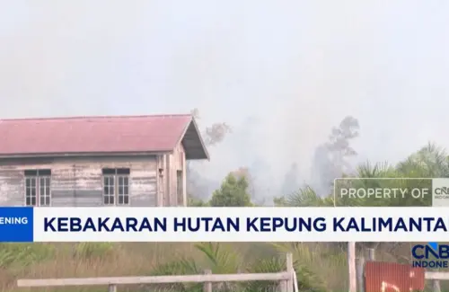 Kalteng Dilanda Asap Tebal Akibat Karhutla, 1.800 Hektare Lahan Terbakar