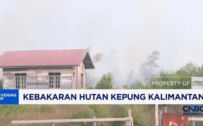 Kalteng Dilanda Asap Tebal Akibat Karhutla, 1.800 Hektare Lahan Terbakar