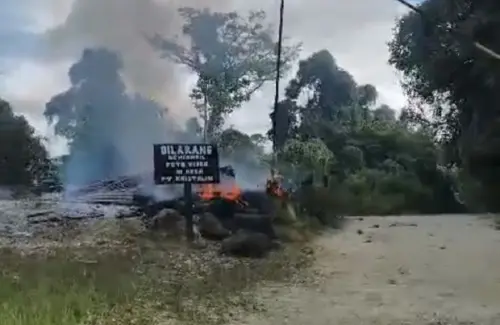 Pakar Keamanan Ungkap Kompleksitas Operasi Pembebasan Sandera di Papua
