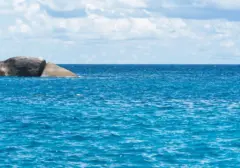 Ledakan Bom Ikan di Laut Indonesia Terjadi Setiap 62 Menit, Ancaman Ekosistem Makin Nyata