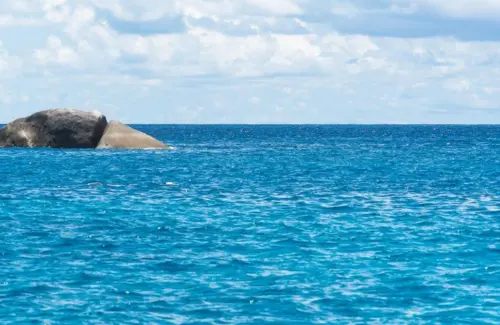 Ledakan Bom Ikan di Laut Indonesia Terjadi Setiap 62 Menit, Ancaman Ekosistem Makin Nyata