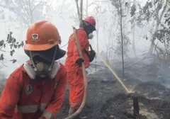 Titik Panas Karhutla di Kalimantan Menurun, Kewaspadaan Tetap Diperlukan