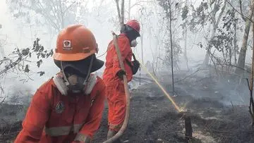 Titik Panas Karhutla di Kalimantan Menurun, Kewaspadaan Tetap Diperlukan