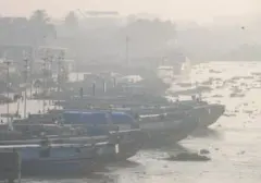 Kebakaran Lahan 115 Hektare Melanda Muara Medak, Muba