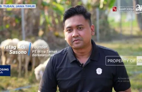 Inovasi Peternakan Domba Modern di Tuban Berawal dari Beasiswa Pendidikan