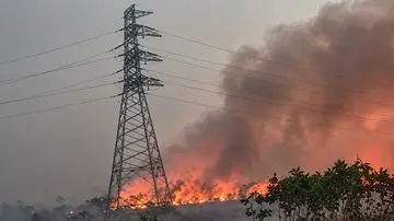 Artis Indonesia Serukan Aksi Atasi Karhutla Kalimantan yang Memburuk