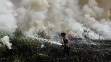 Asap Karhutla Indonesia Lumpuhkan Pendidikan di Serawak: Hampir 600 Sekolah Ditutup