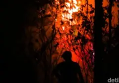 Kebakaran Hutan Kalimantan Picu Keprihatinan Global, Emisi Melonjak Akibat El Nino