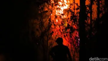 Kebakaran Hutan Kalimantan Picu Keprihatinan Global, Emisi Melonjak Akibat El Nino