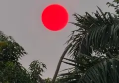 Fenomena Matahari Merah di Palangka Raya: Kabut Asap Karhutla Jadi Biang Kerok