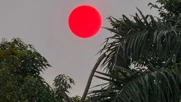 Fenomena Matahari Merah di Palangka Raya: Kabut Asap Karhutla Jadi Biang Kerok