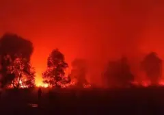 Kebakaran Melanda Taman Nasional Way Kambas Sejak Jumat Siang
