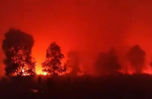 Kebakaran Melanda Taman Nasional Way Kambas Sejak Jumat Siang