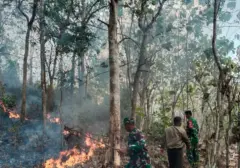 Kebakaran Hutan dan Lahan Melanda Kalimantan Selatan, Upaya Pemadaman Intensif