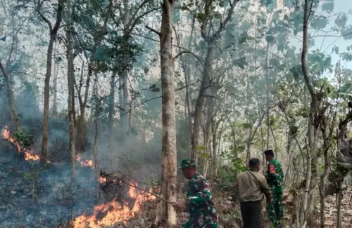 Kebakaran Hutan dan Lahan Melanda Kalimantan Selatan, Upaya Pemadaman Intensif
