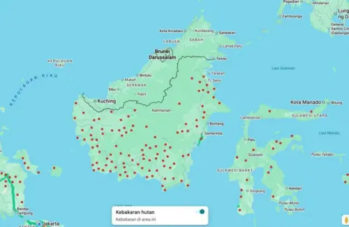 Pantau Titik Api Karhutla di Indonesia: Tiga Metode Cek Kebakaran Hutan Lewat Gawai