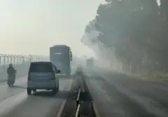 Dampak Mengerikan Asap Karhutla pada Kesehatan: Partikel Berbahaya Menyerang Tubuh