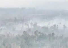 Karhutla Lahan 8.900 Hektar Dekat Bandara, BNPB Prioritaskan Kalimantan Selatan