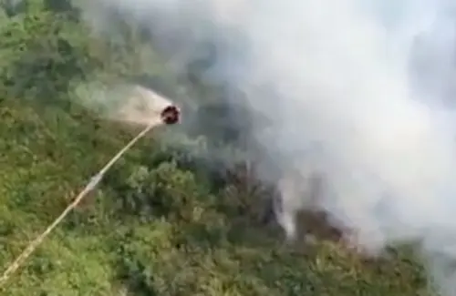 Karhutla Ancaman Serius bagi Keanekaragaman Hayati dan Keberlanjutan DNA Indonesia