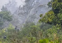Dugaan Kesengajaan Karhutla Kalimantan, Ibas Minta Investigasi Menyeluruh
