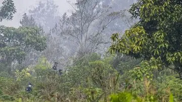 Dugaan Kesengajaan Karhutla Kalimantan, Ibas Minta Investigasi Menyeluruh