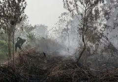 Bareskrim Polri Identifikasi 'Otak' di Balik Kebakaran Hutan Kalimantan