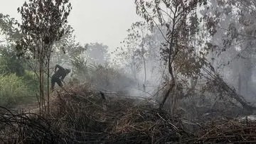 Bareskrim Polri Identifikasi 'Otak' di Balik Kebakaran Hutan Kalimantan